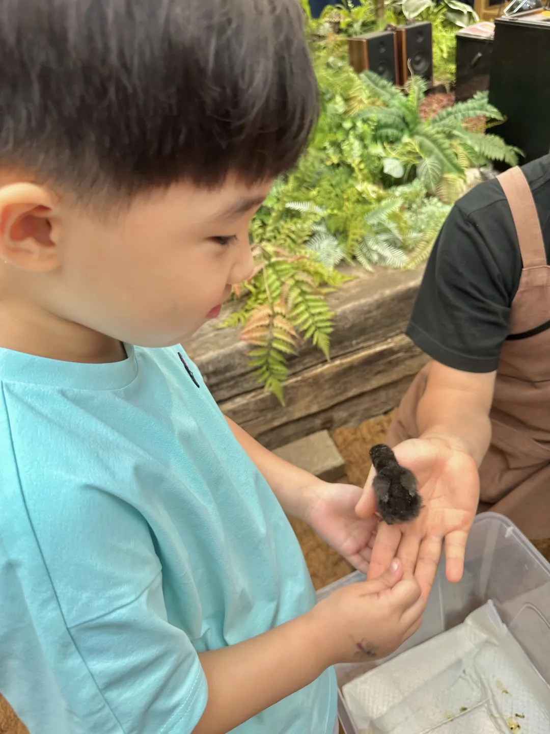 Goompro Insect Experience Learning Farm photo 6