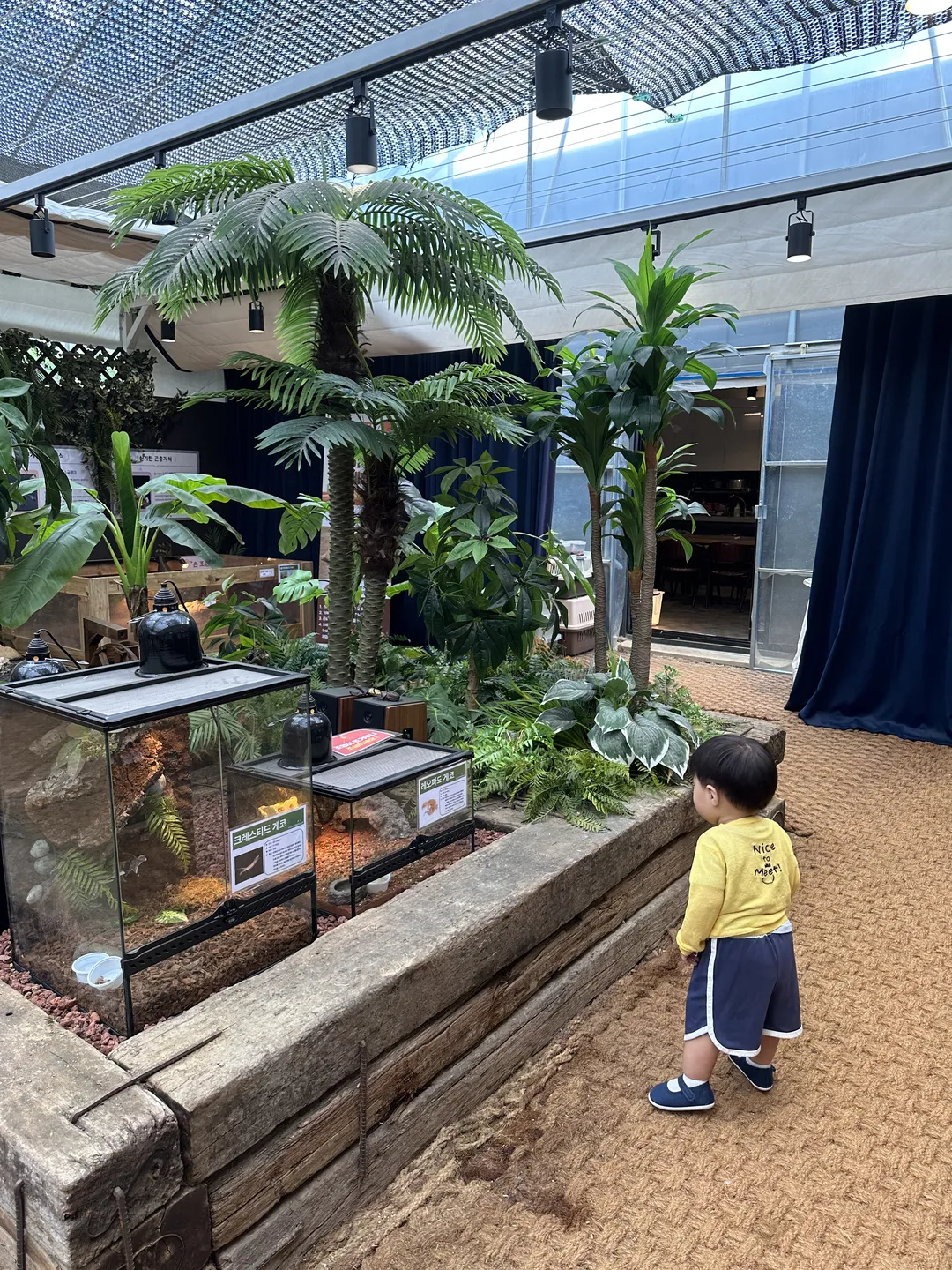 Goompro Insect Experience Learning Farm photo 10