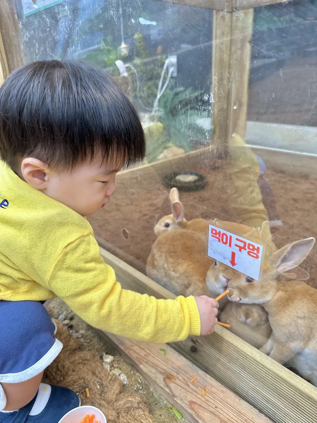 Goompro Insect Experience Learning Farm photo 12