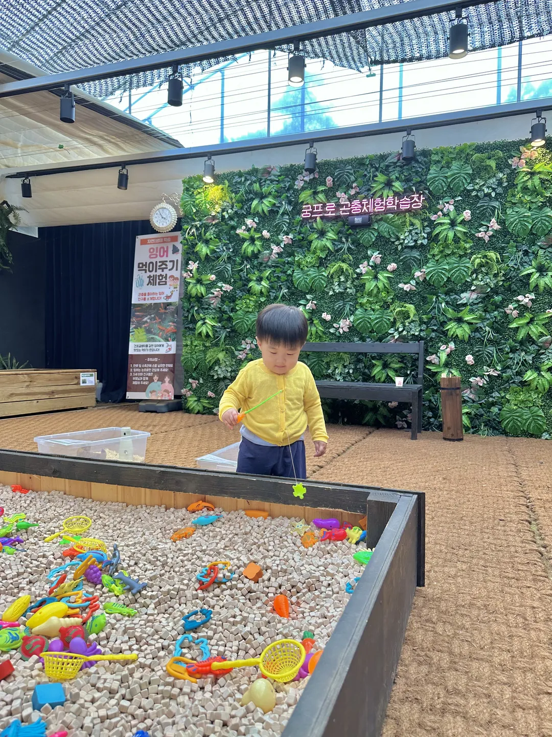 Goompro Insect Experience Learning Farm photo 15