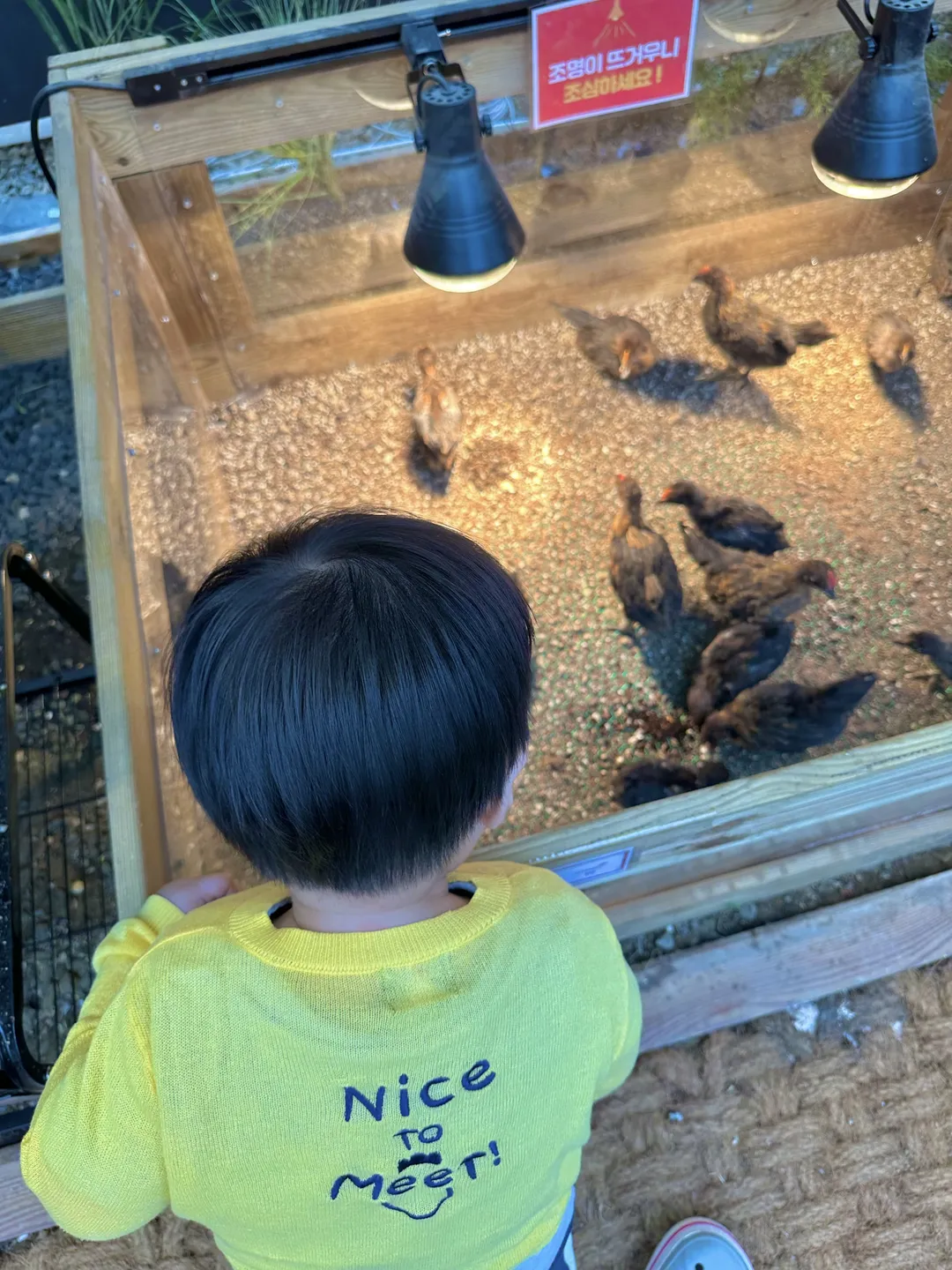 Goompro Insect Experience Learning Farm photo 14