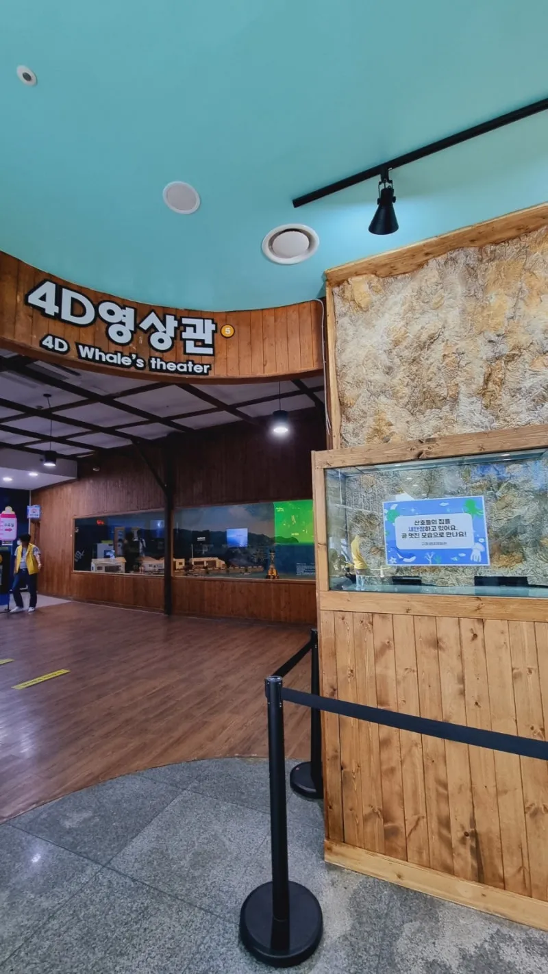 장생포 고래생태체험관 사진 8