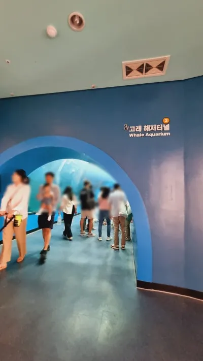 장생포 고래생태체험관 사진 6