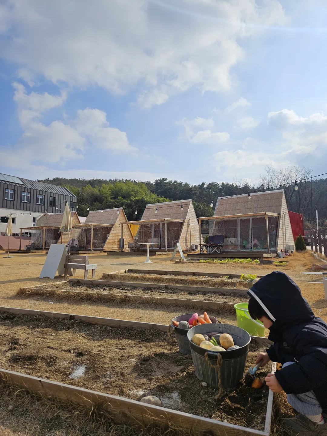 선셋드몽