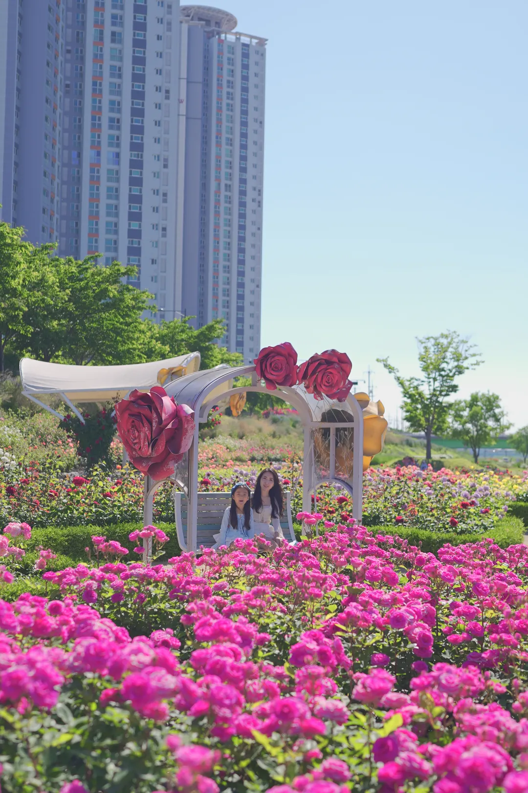 형산강 장미원