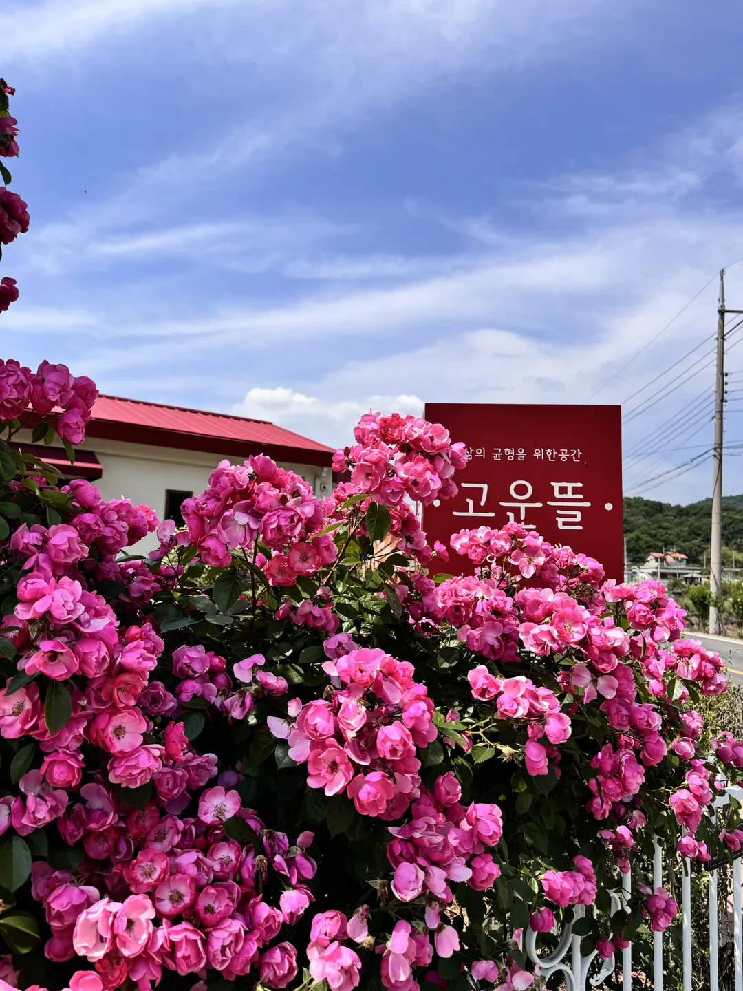 ゴウンドゥル 写真 17