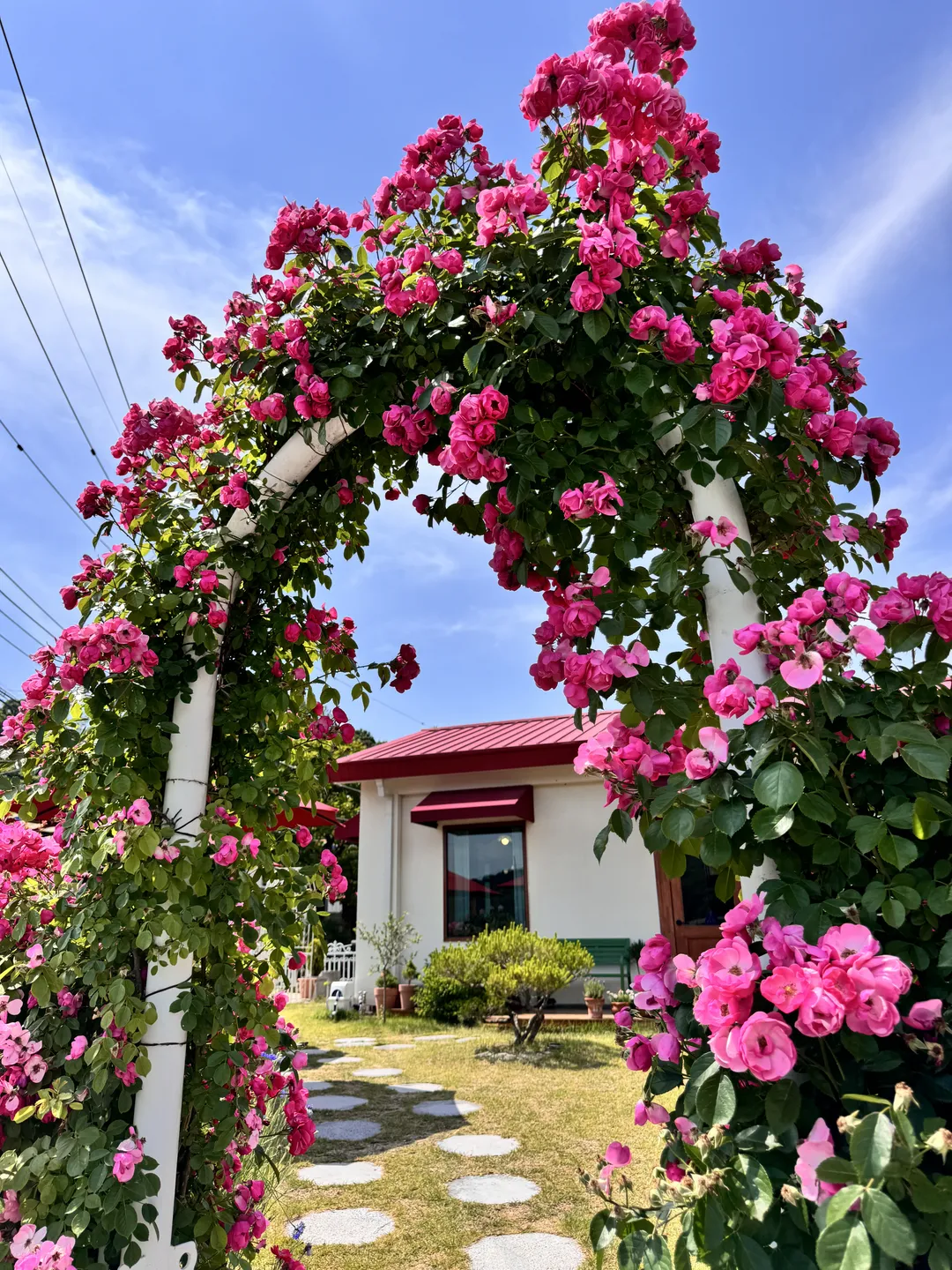 ゴウンドゥル 写真 16