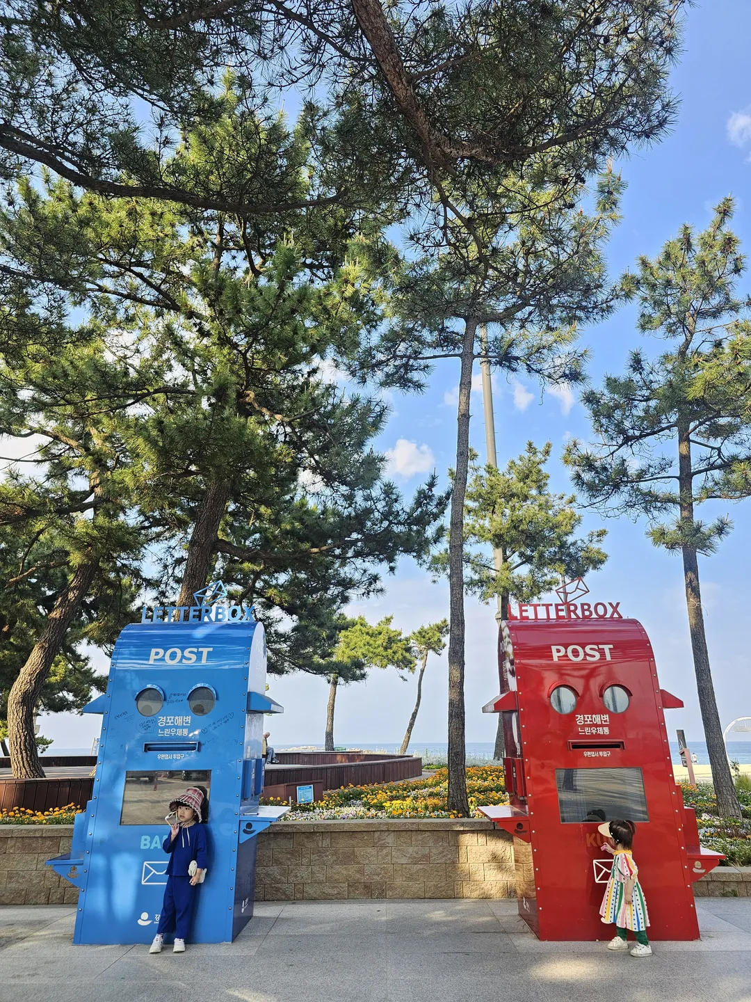 경포해변 사진 10