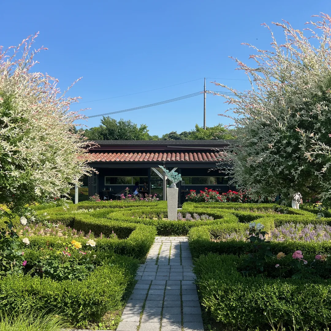 그린망고 사진 6