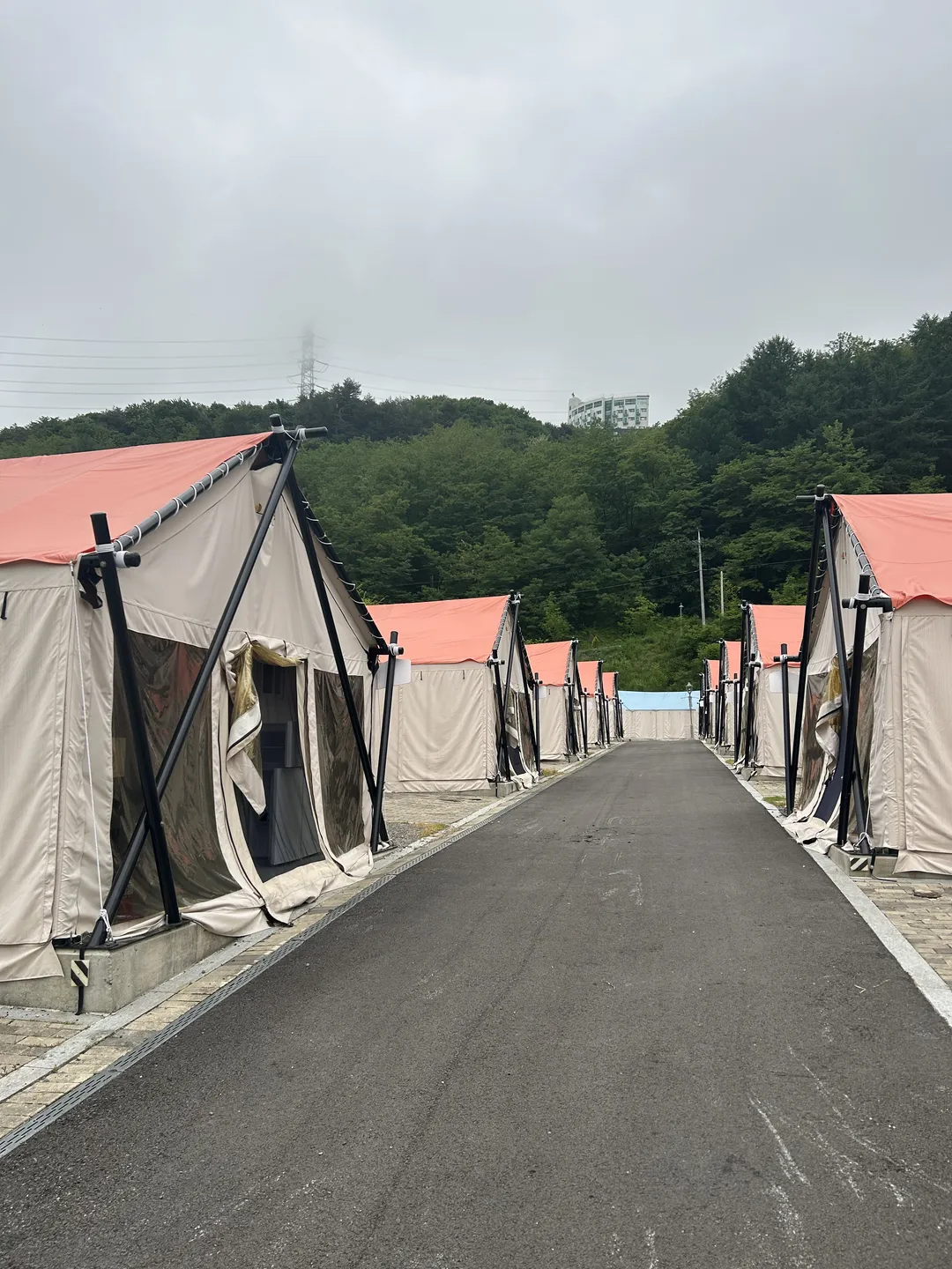 하이원 추추파크 더휴 글램핑