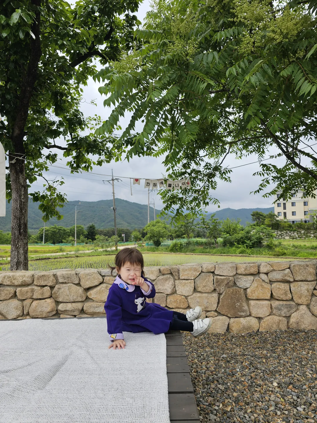 도평커피 사진 8
