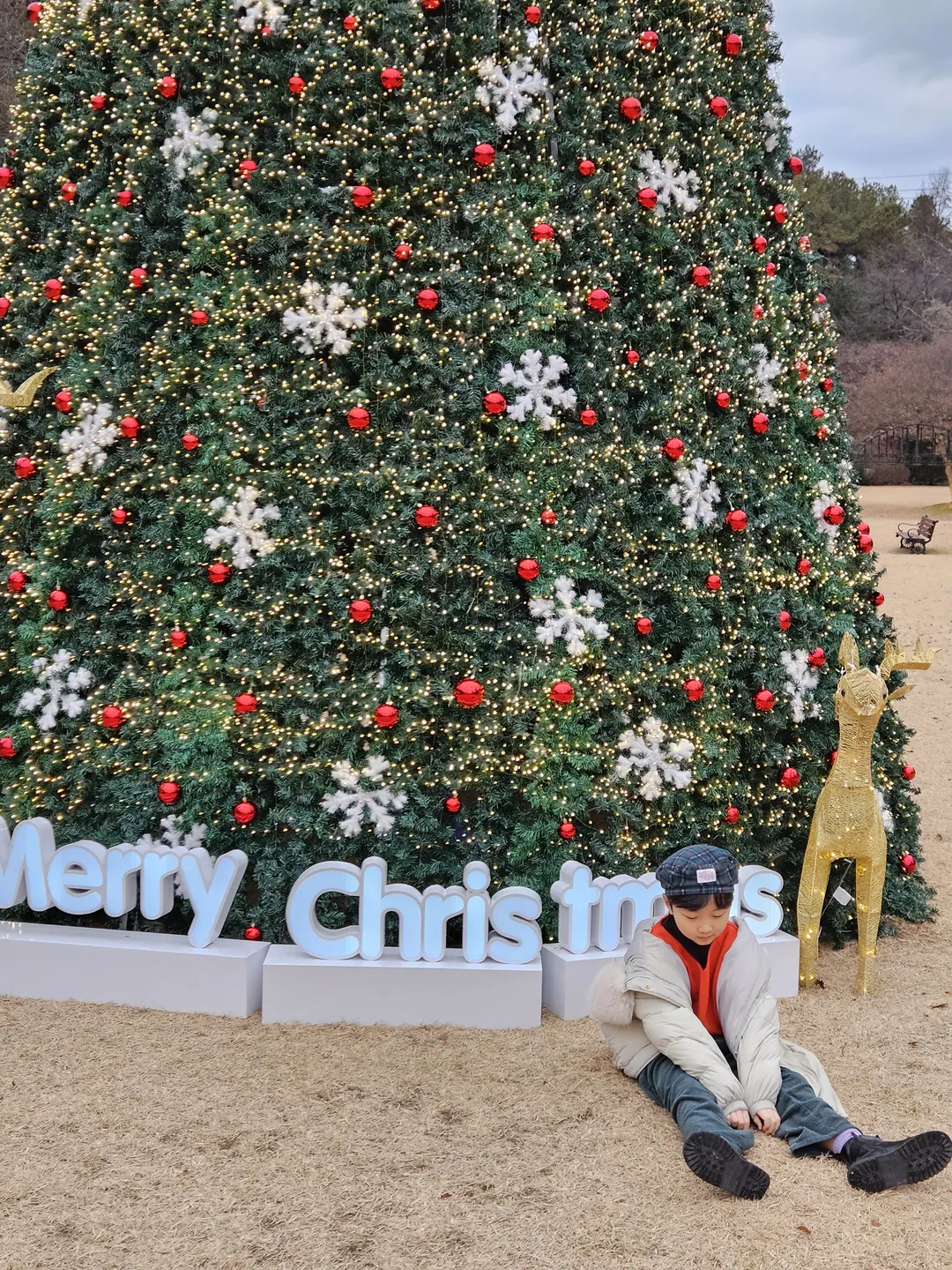 나드 사진 7