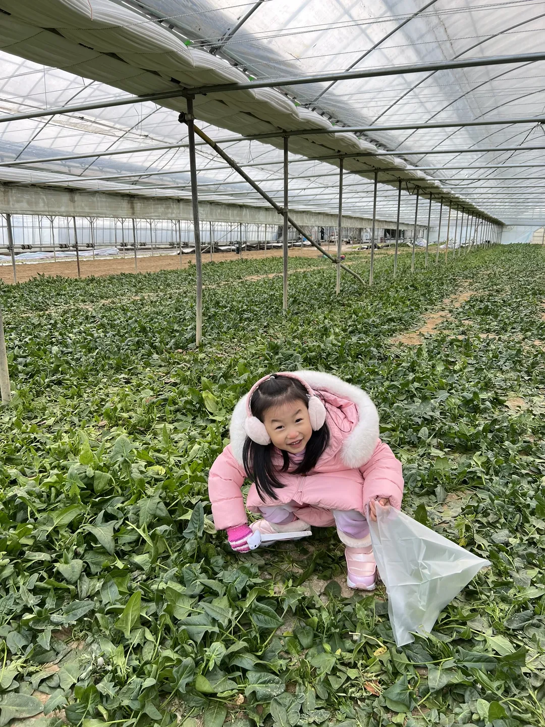 Eunjin Farm photo 9