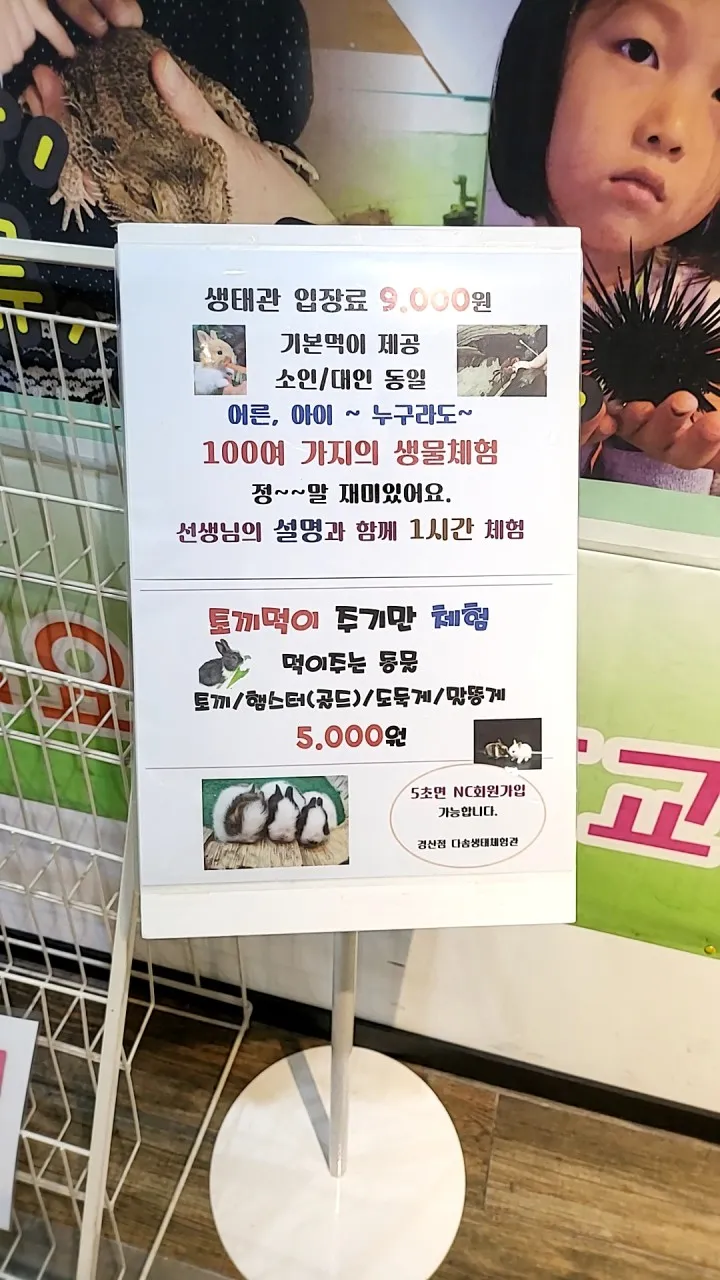 Dasom Ecological Experience Center NC Gyeongsan Branch photo 14