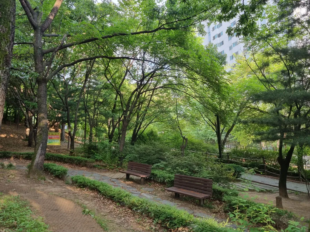 Omok Cultural Infant Forest Experience Center photo 12