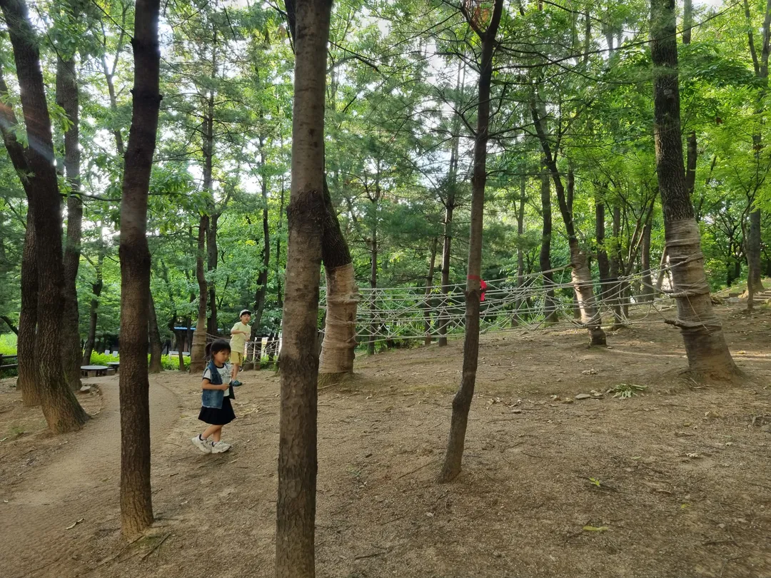 Omok Cultural Infant Forest Experience Center photo 8