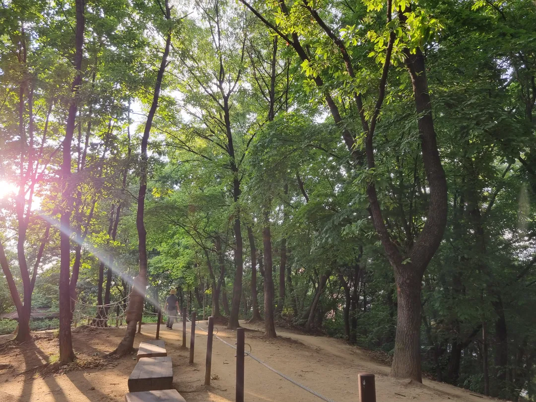 Omok Cultural Infant Forest Experience Center photo 14
