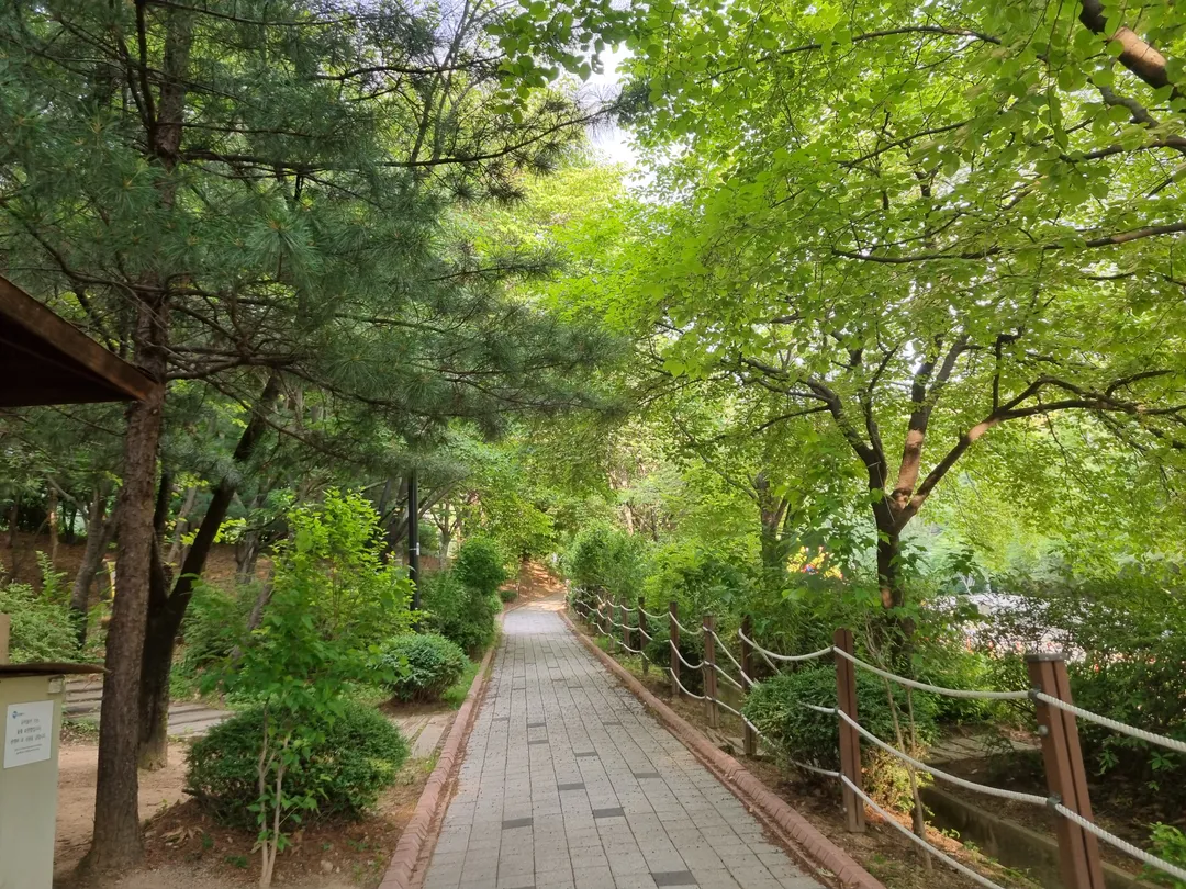 Omok Cultural Infant Forest Experience Center photo 19