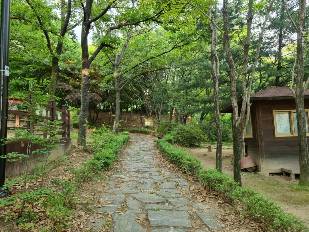 Omok Cultural Infant Forest Experience Center photo 18