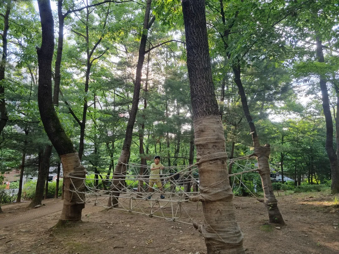Omok Cultural Infant Forest Experience Center photo 9