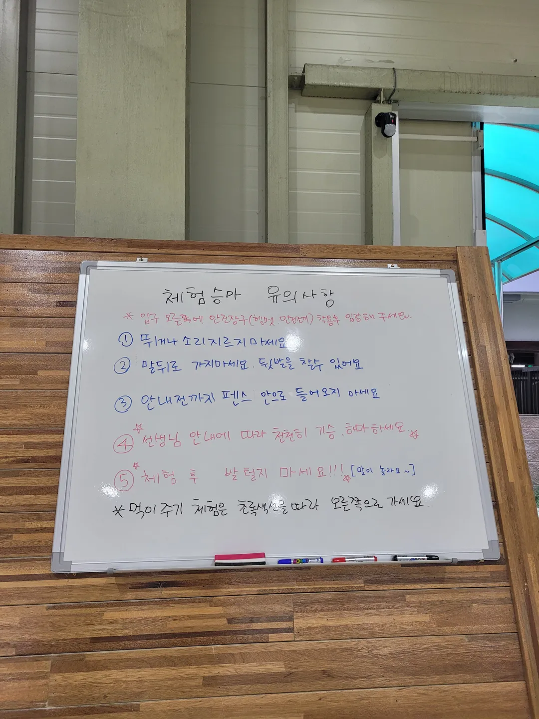 상주국제승마장 사진 9