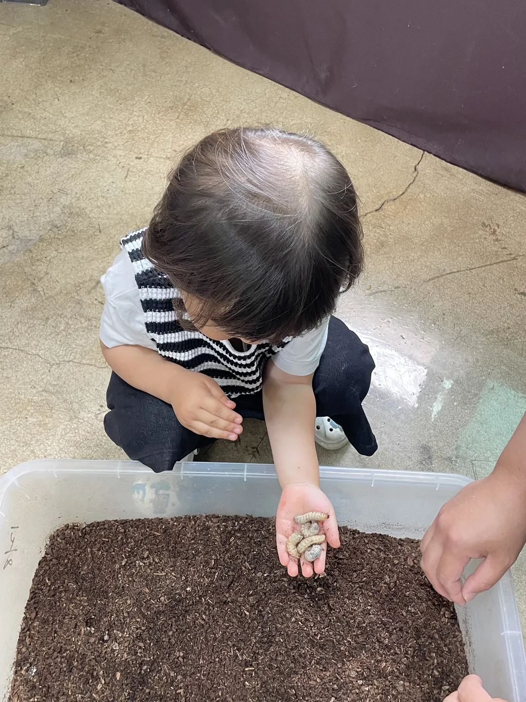 벅스누리팜 농업회사법인 사진 9