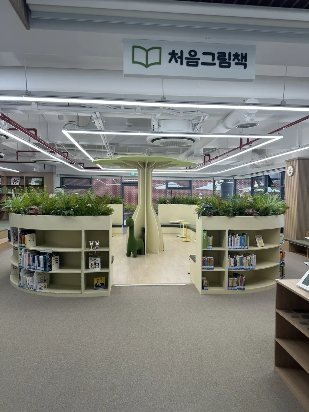 원주시그림책도서관 사진 13
