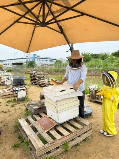 온택