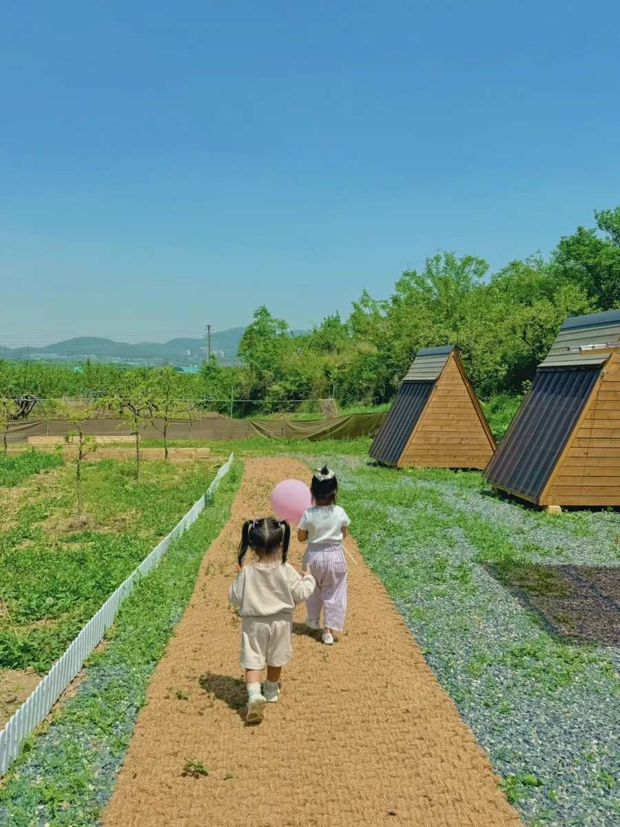팜더랑
