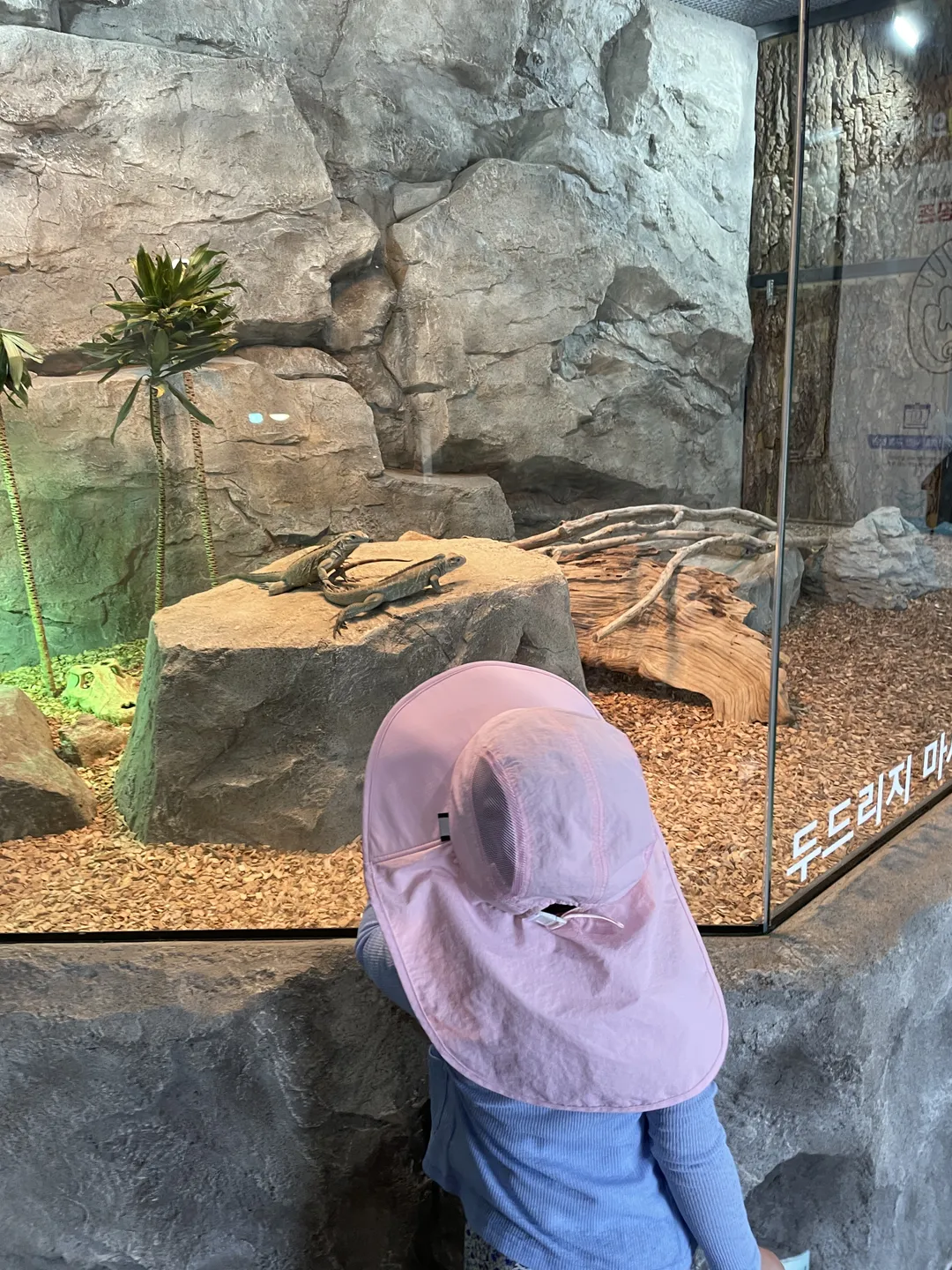 順天湾国家庭園こども動物園 写真 10