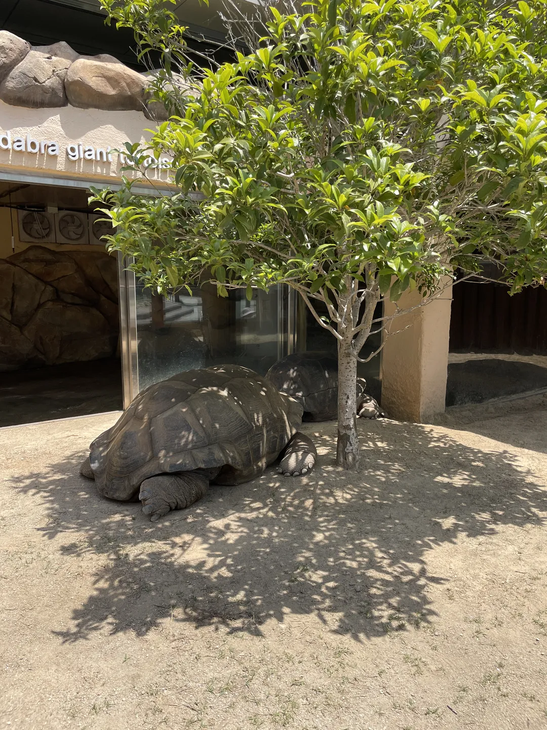 順天湾国家庭園こども動物園 写真 7