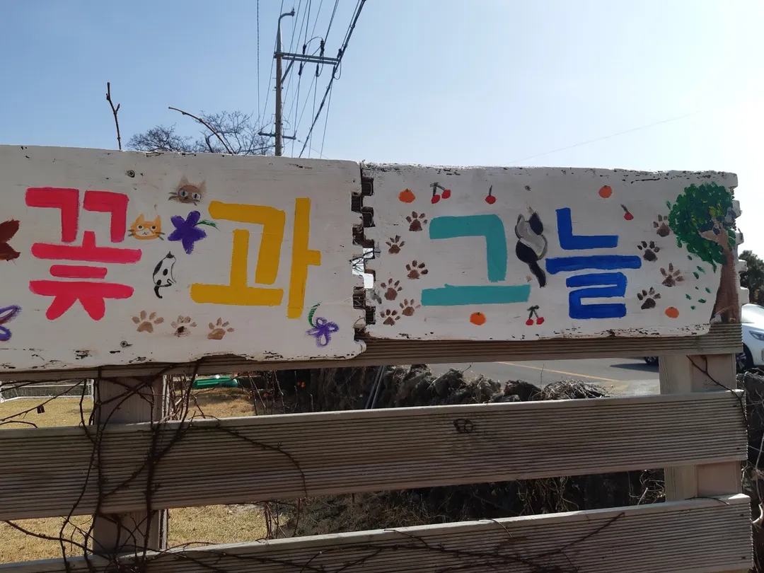 꽃과그늘 사진 23