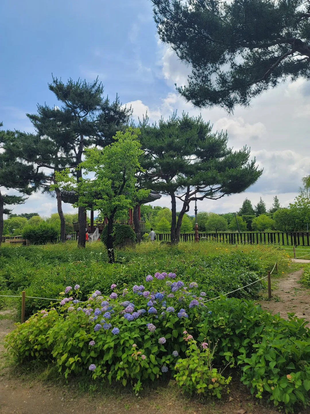 한밭수목원 사진 17