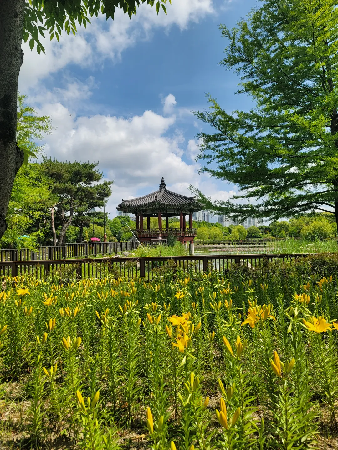 한밭수목원 사진 15