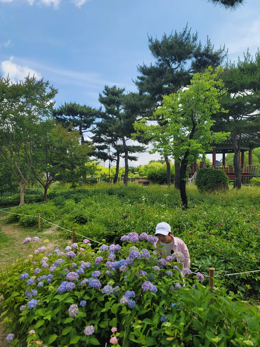 한밭수목원 사진 11