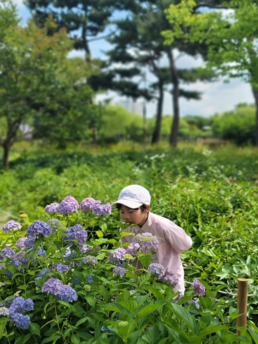 한밭수목원