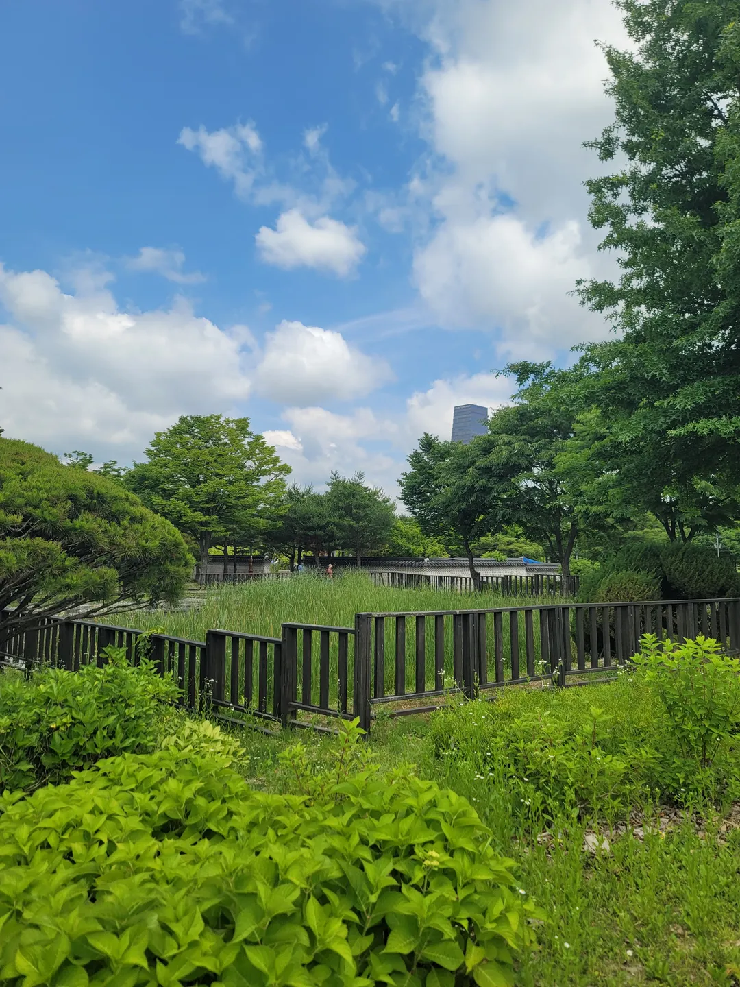 한밭수목원 사진 18
