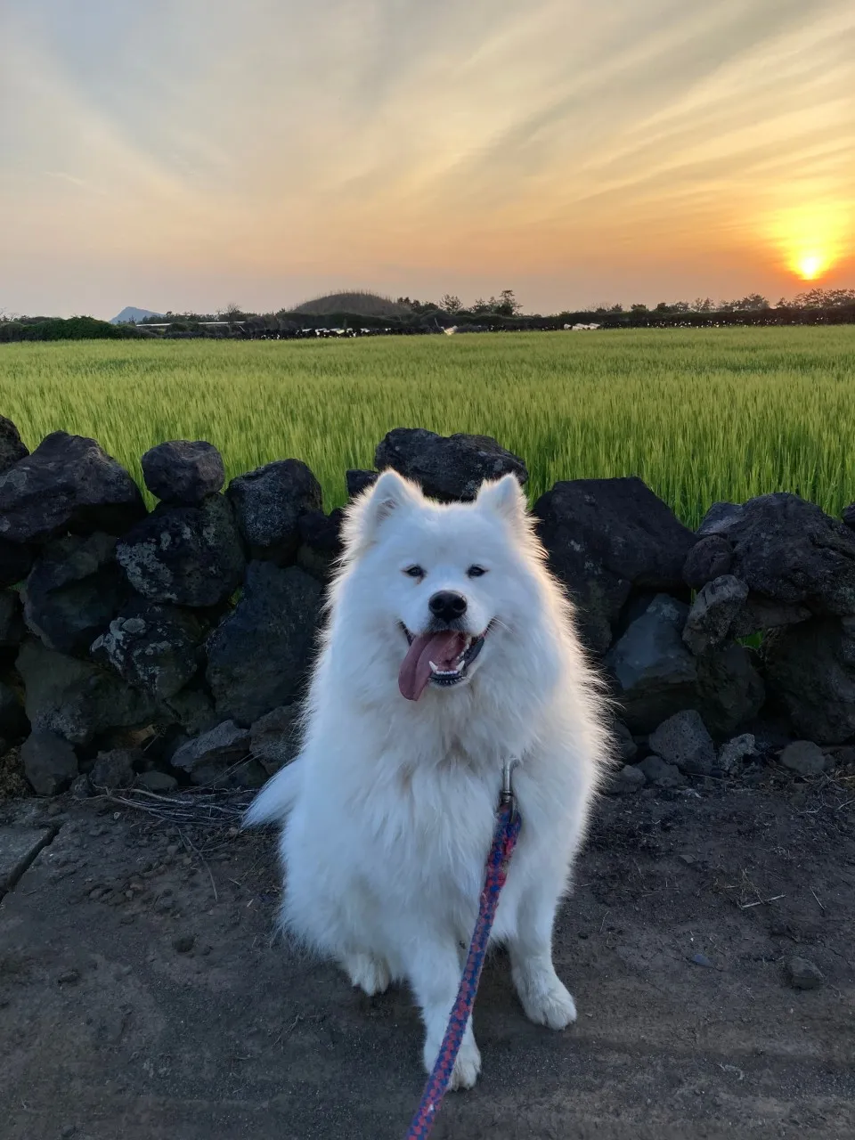 꽃과그늘 사진 27