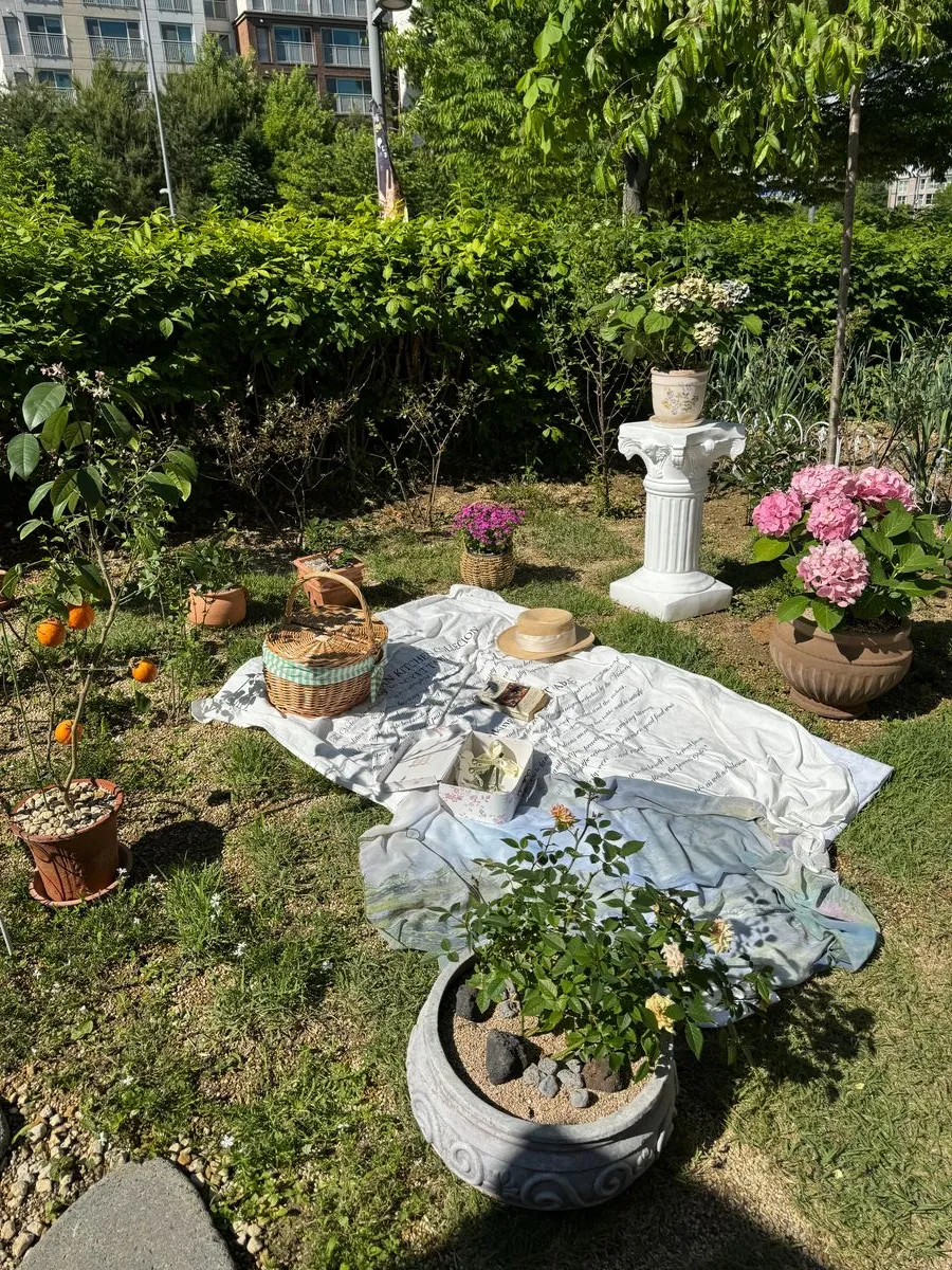 레브유 사진 25