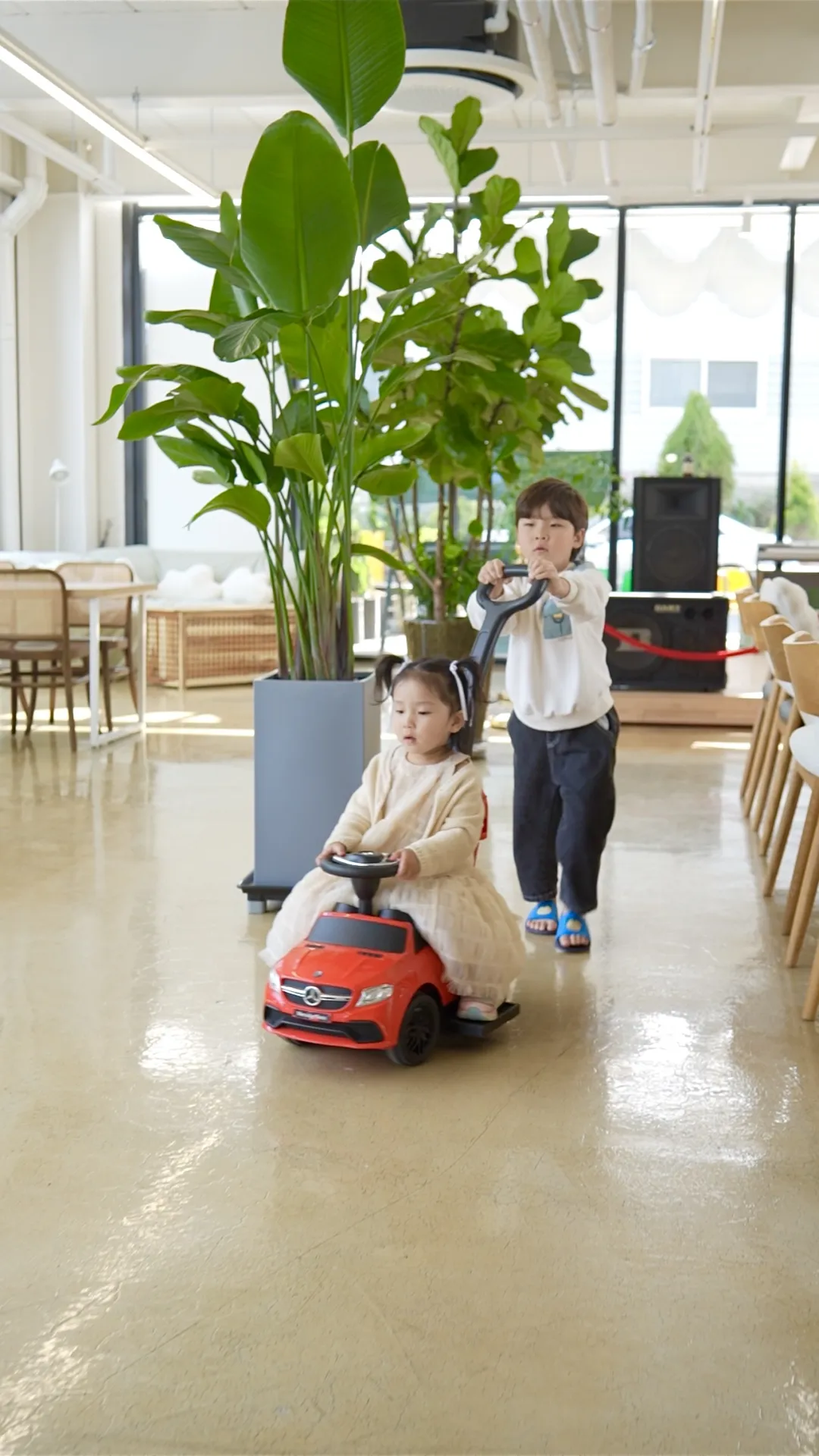 언더더트리