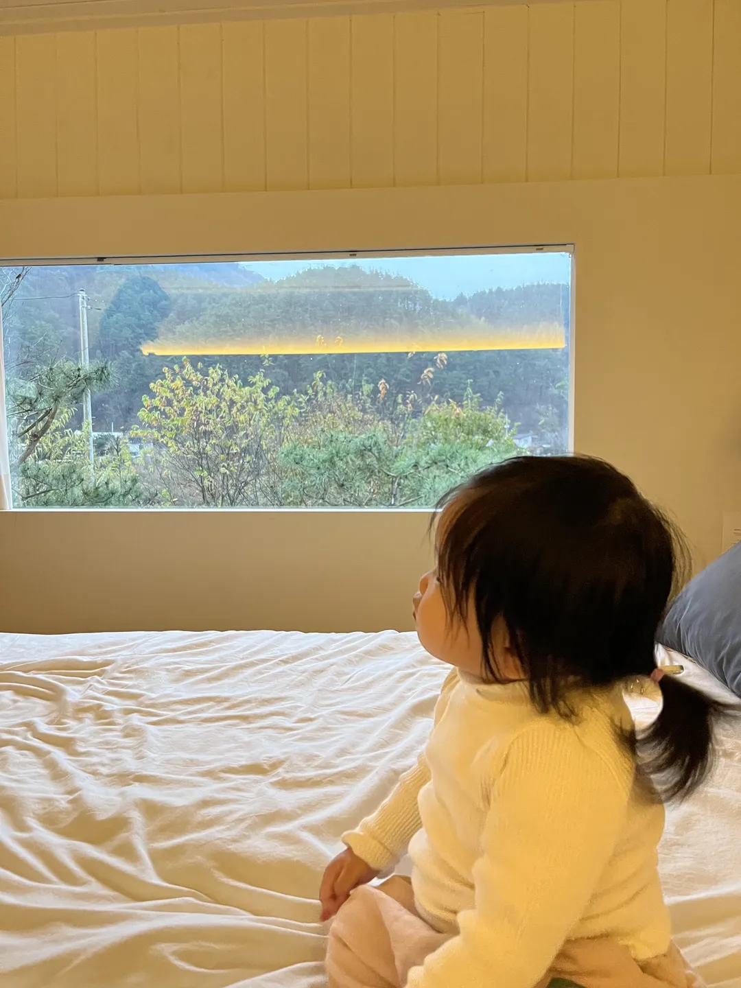 하녹타케 사진 7