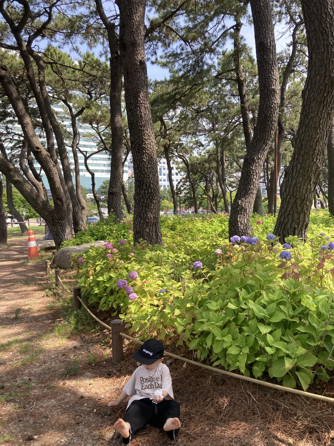 송림공원 사진 10