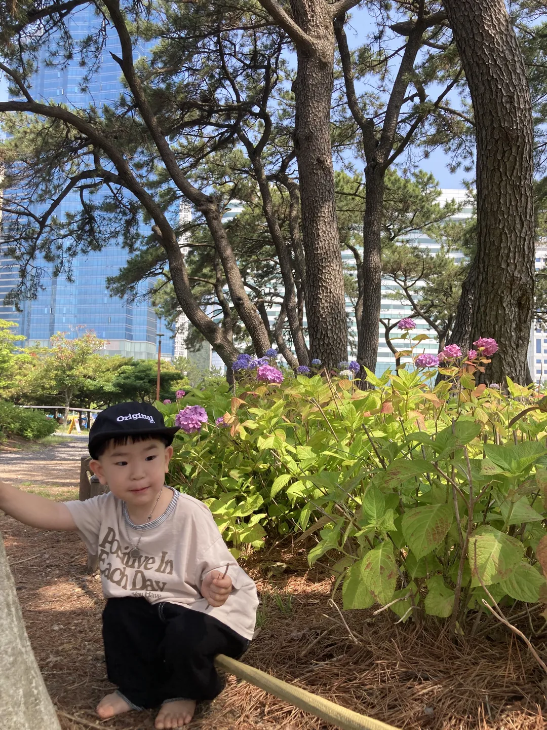 송림공원