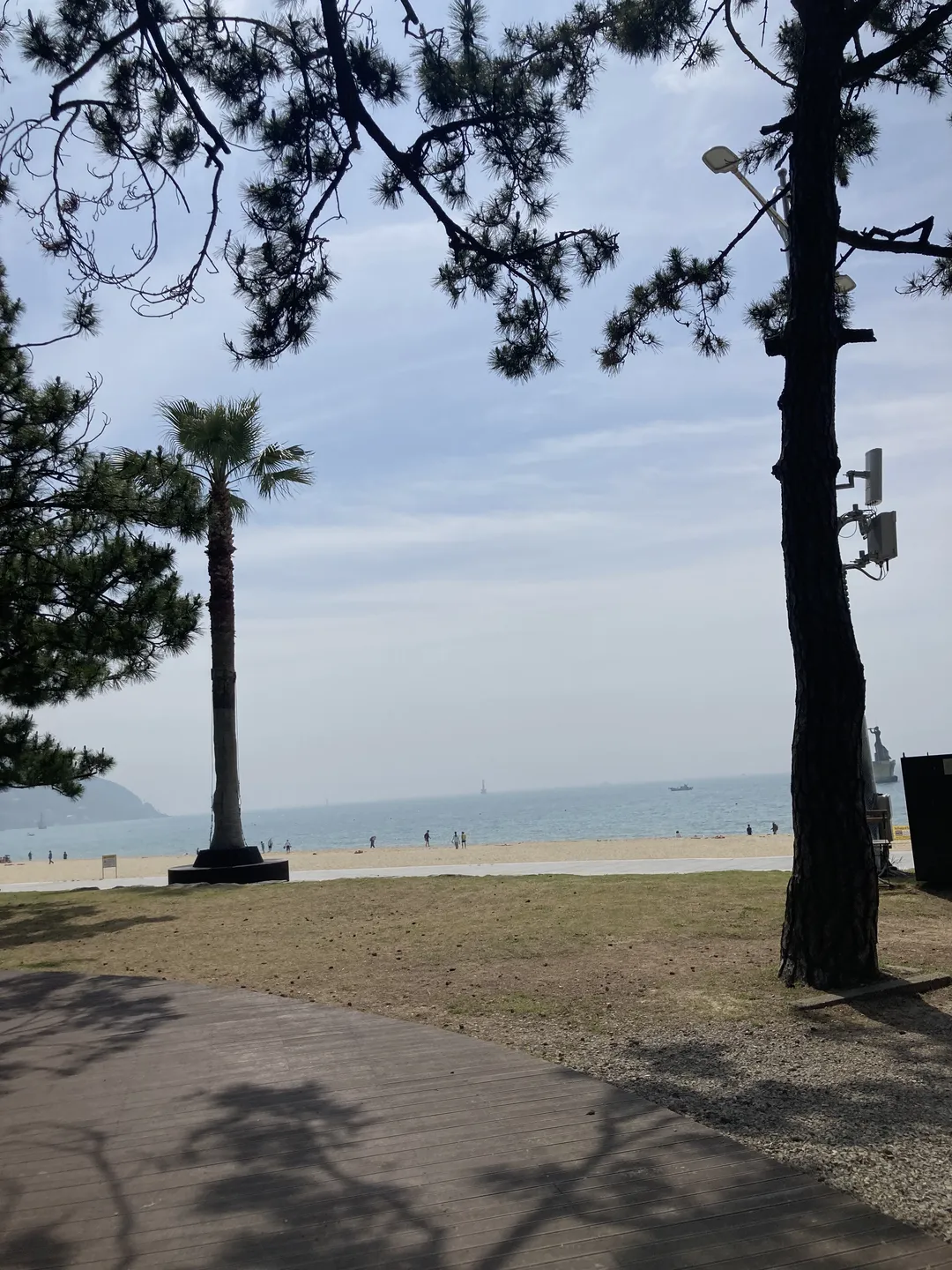 송림공원