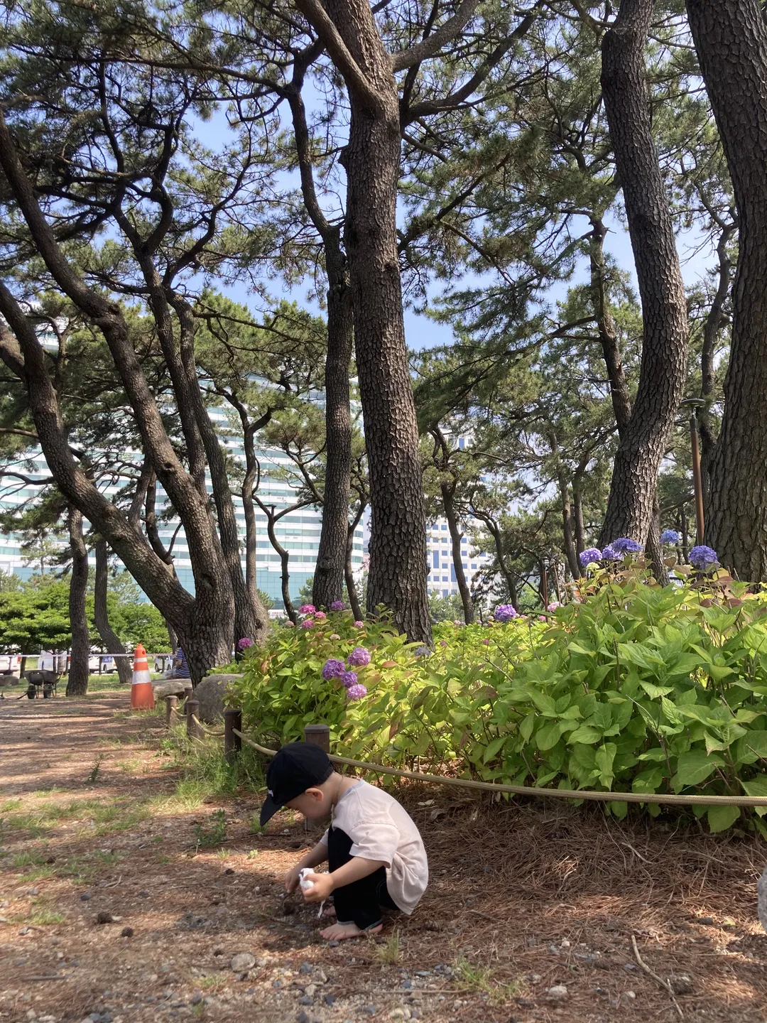 송림공원 사진 11