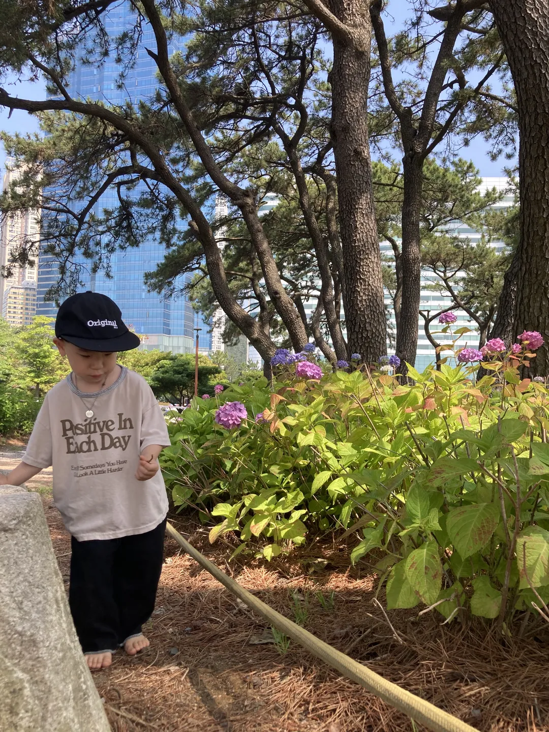 송림공원