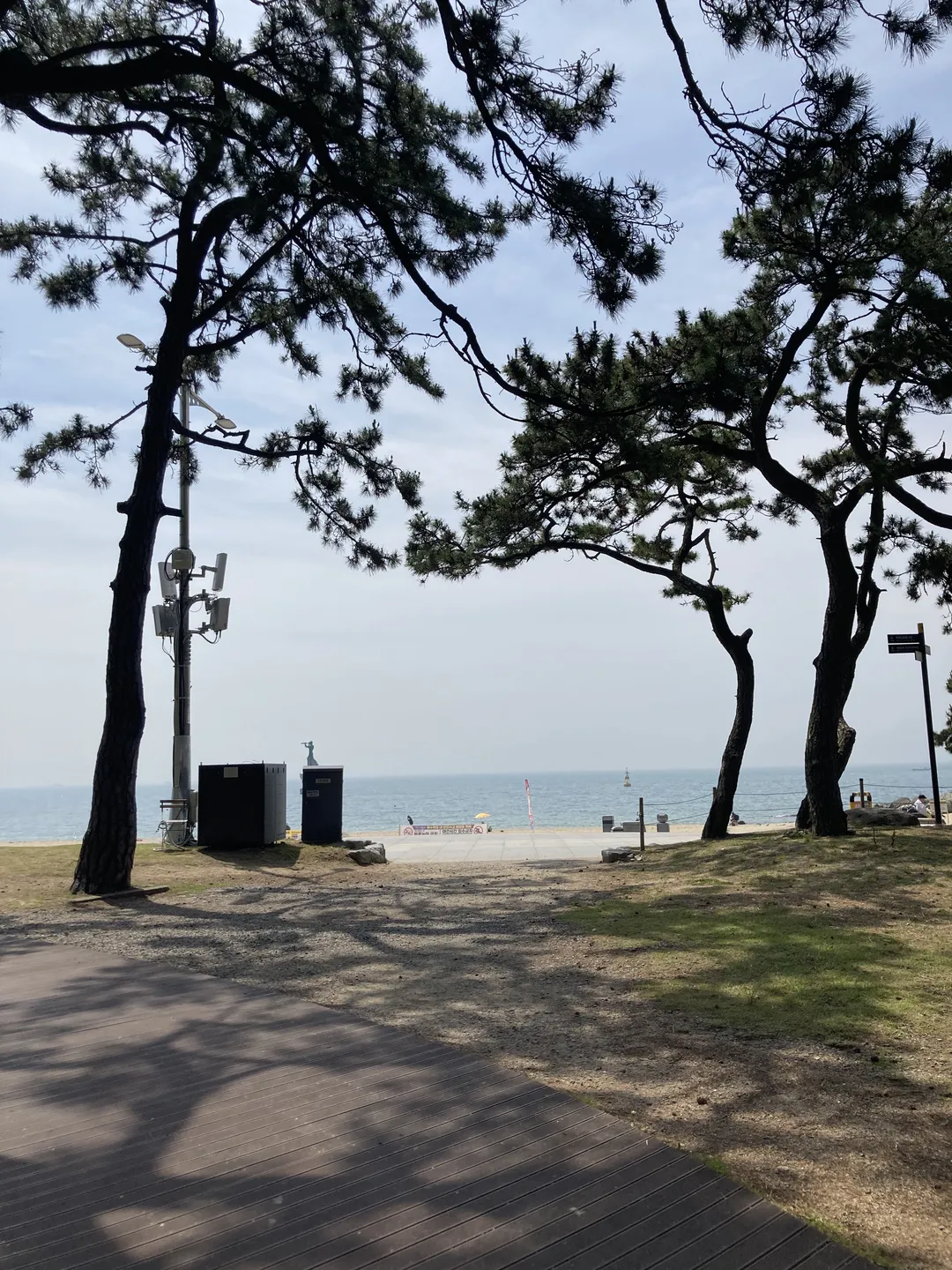 송림공원 사진 8