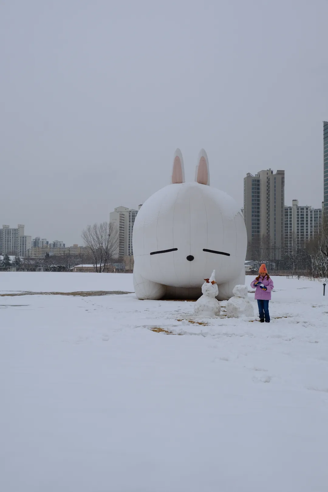 龍山子ども庭園 写真 17