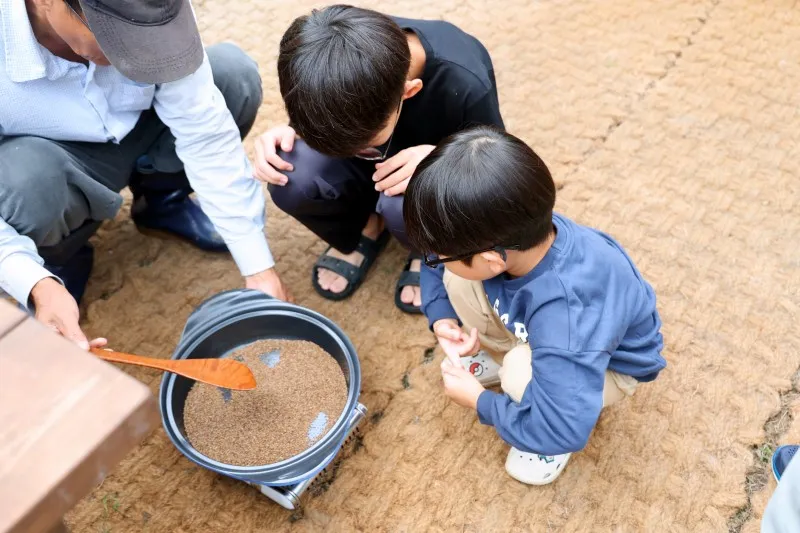 루비숲 사진 7