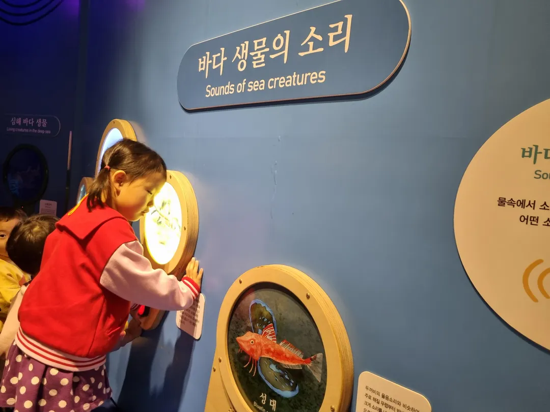 경기북부어린이박물관 사진 9